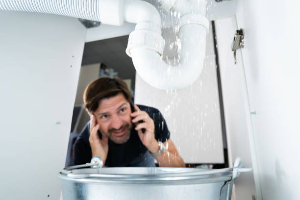 Best Residential Plumbing Services  in Mineral Springs, AR